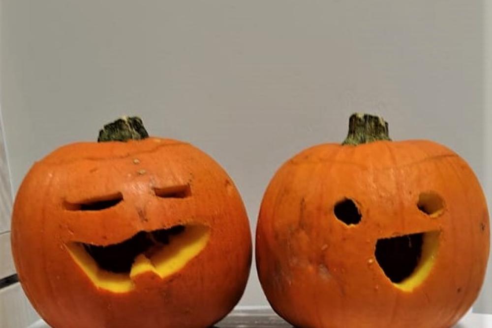 Pumpkins carved on the Bumblebee Ward